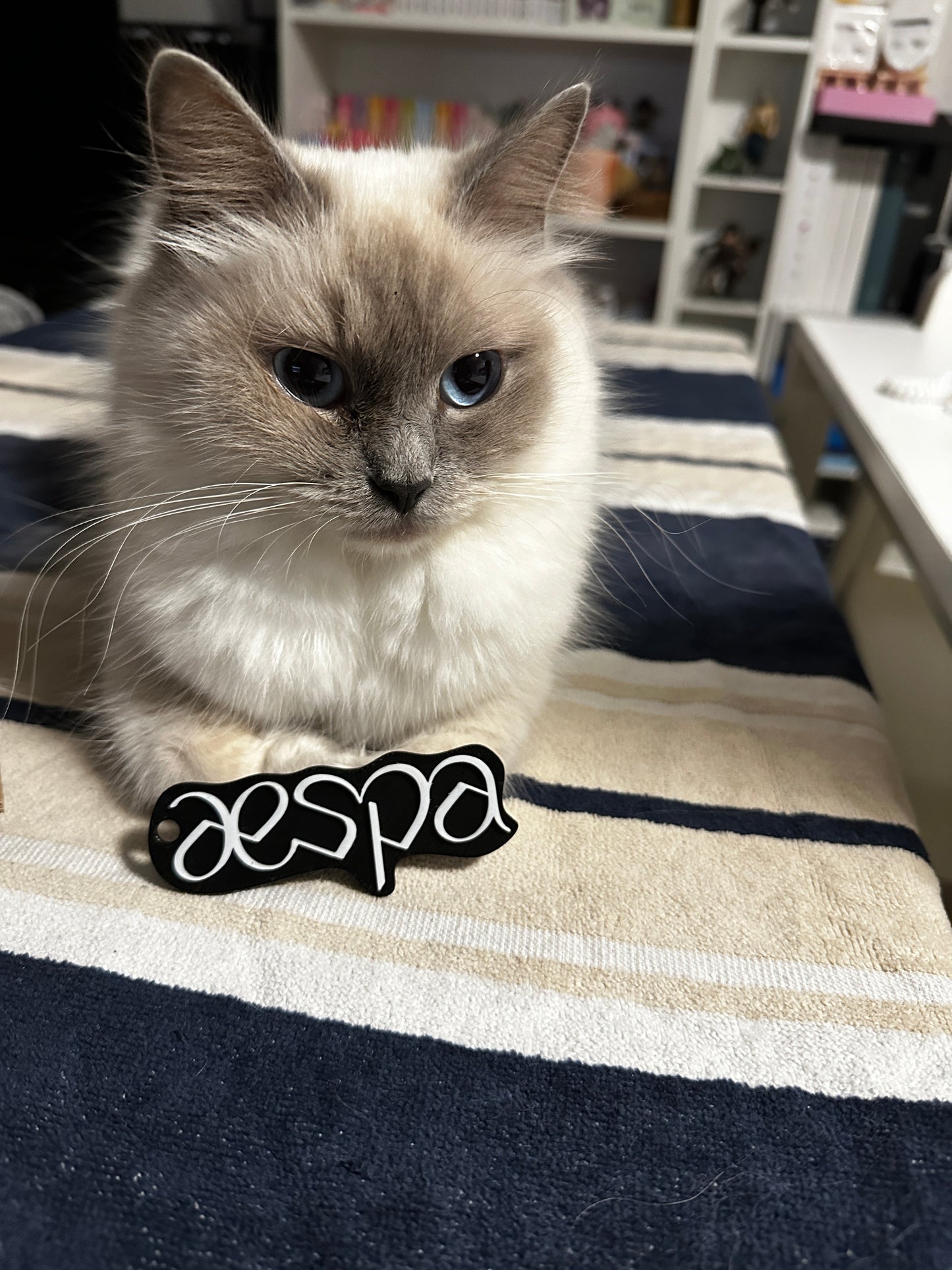 aespa - 3D Printed Keychain